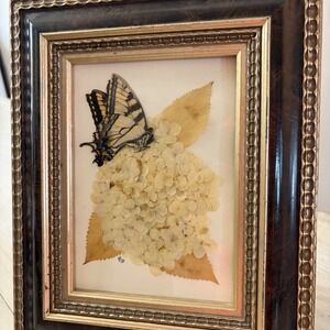Framed Swallowtail Butterfly Preserved Hydrangea Botanical Art Signed 2023
